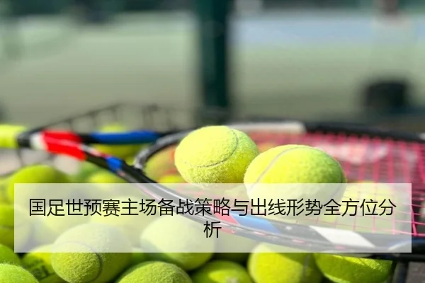 国足世预赛主场备战策略与出线形势全方位分析