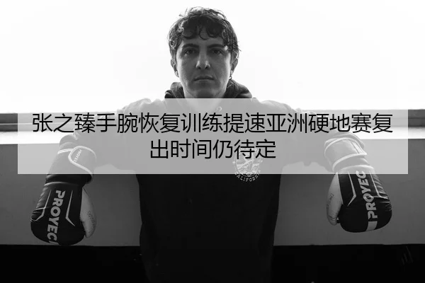 张之臻手腕恢复训练提速亚洲硬地赛复出时间仍待定