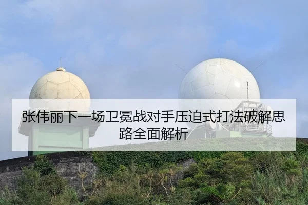 张伟丽下一场卫冕战对手压迫式打法破解思路全面解析